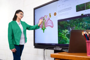 This image showcases a teacher working on her ActivPanel.