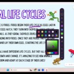 Camp Promethean 2025: Mini – Intro to Promethean Annotate
